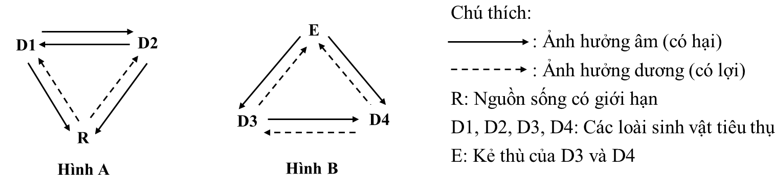 Hình A và Hình B dưới đây mô tả về ảnh hưởng qua lại giữa các loài trong một quần xã.   Phát biểu nào sau đây đúng nhất? A. D3 và D4 thuộc mối quan hệ cộng sinh.	B. D1 và D2 có thể là sinh vật hổ và trâu rừng. C. E có thể là ve bét và D3 có thể là sư tử.	D. R chắc chắn là sinh vật sản xuất. (ảnh 1)