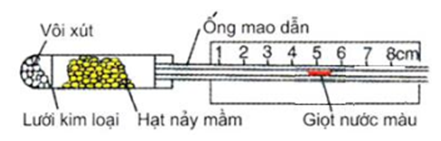 Hình bên mô tả thời điểm bắt đầu thí nghiệm phát hiện hô hấp ở thực vật. Thí nghiệm được thiết kế đúng chuẩn quy định. Kết quả thí nghiệm cho thấy giọt nước màu di chuyển về phía bên trái. Điều này chứng tỏ quá trình hô hấp của hạt nảy mầm   	A. hấp thụ oxi. 	B. thải khí CO2 	C. tạo năng lượng ATP. 	D. tỏa nhiệt. (ảnh 1)