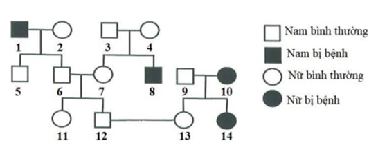 Phả hệ dưới đây mô tả sự di truyền của bệnh bạch tạng, do một trong hai alen của một gen gen nằm trên NST thường quy định. Cho rằng không phát sinh đột biến mới trong phả hệ.    Theo lý thuyết, phát biểu nào sau đây sai? A. Xác suất cá thể 6 và 7 có kiểu gen giống nhau là 1/3. B. Đã xác định được kiểu gen của 10 cá thể trong phả hệ. C. Bệnh do gen lặn quy định. D. Các cá thể 1, 8, 10, 14 có kiểu gen giống nhau. (ảnh 1)