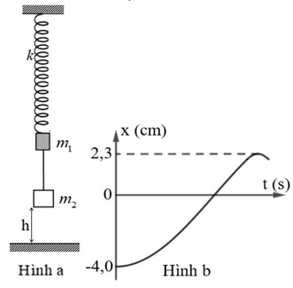 Một con lắc lò xo gồm lò xo nhẹ có độ cứng k = 100 N/m, đầu trên cố định (ảnh 1)
