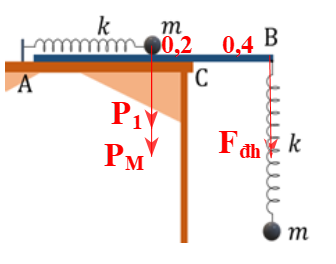 Một tấm ván đồng chất chiều dài l=120 cm , khối lượng M=1,2 kg  được đặt trên mặt bàn nằm ngang vuông (ảnh 1)