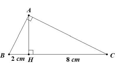 Cho tam giác ABC vuông tại A có đường cao AH chia cạnh huyền BC thành BH = 2 cm, CH = 8 cm. Giải tam giác vuông này. (ảnh 1)