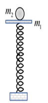 Một con lắc lò xo đặt thẳng đứng gồm lò xo nhẹ có độ cứng k = 100 N/m (ảnh 1)