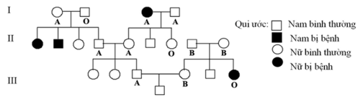 Phả hệ dưới đây mô tả sự di truyền của một bệnh ở người do một trong hai alen của một gen quy định. Một gen khác gồm 3 alen quy định nhóm máu ABO nằm ở một nhóm gen liên kết khác. Biết rằng không xảy ra đột biến mới ở tất cả các cá thể trong phả hệ.   Xác suất để đứa con trai do cặp vợ chồng ở thế hệ III sinh ra không mang gen bệnh và có kiểu gen dị hợp về nhóm máu là bao nhiêu? 	A. 4/75. 	B. 7/15. 	C. 27/200. 	D. 13/30 (ảnh 1)