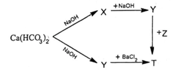 Cho sơ đồ phản ứng:   Biết T là hợp chất của kim loại kiềm thổ. Chất Z là chất nào dưới đây?         A. Ba(NO3)2.	B. BaSO4.	C. HCl.	D. NaHSO4. (ảnh 1)
