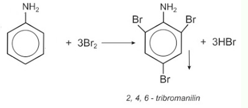 Cặp chất nào sau đây phản ứng tạo kết tủa trắng?         A. Anilin và dung dịch Br2.	B. Alanin và dung dịch HCl.         C. CH3NH2 và dung dịch FeCl3.	D. Cho NaOH vào dung dịch glyxin. (ảnh 1)