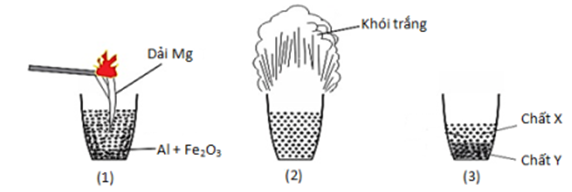 Hình vẽ sau đây mô tả thí nghiệm phản ứng nhiệt nhôm xảy ra giữa Al và Fe2O3:   Phát biểu nào sau đây sai?         A. Dải Mg được dùng để khơi mào nhiệt cho phản ứng nhiệt nhôm.         B. Phản ứng nhiệt nhôm được ứng dụng để hàn đường ray.         C. X là Al2O3 nóng chảy, Y là Fe nóng chảy.         D. Khói trắng chứa các tinh thể Fe2O3. (ảnh 1)