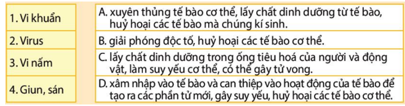 Ghép đúng tác nhân sinh học (1, 2, 3 hoặc 4) với cách thức gây bệnh (A, B, C hoặc D).   (ảnh 1)