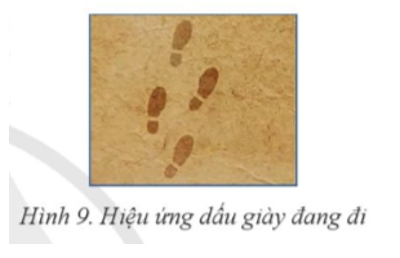 Hãy hình dung một người vô hình đang bước đi, chỉ để lại dấu giày như hình 9. Em hãy tạo ảnh động biểu thị hiệu ứng là vết giày của người vô hình đang bước đi trên mặt đất. (ảnh 1)