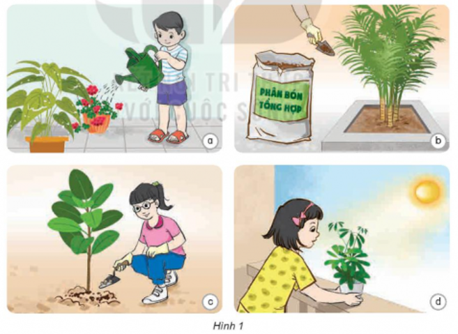 Quan sát hình 1 và cho biết: - Các bạn nhỏ trong hình đang làm gì để chăm sóc cây trồng? - Các hoạt động đó đáp ứng nhu cầu sống nào của cây? (ảnh 1)