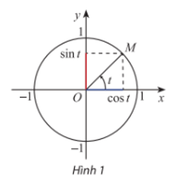 Cho số thực t và M là điểm biểu diễn của góc lượng giác có số đo t rad trên đường tròn lượng giác, hãy giải thích vì sao xác định duy nhất: a) Giá trị sint và cost; (ảnh 1)