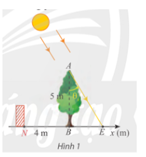 Trong Hình 1, cây xanh AB nằm ở trên đường xích đạo được trồng vuông góc với mặt đất và có chiều cao 5m. Bóng của cây là BE. Vào nghày xuân phân và hạ phân, điểm E di chuyển trên đường thẳng Bx. Góc thiên đỉnh θs =  (AB, AE) (ảnh 1)