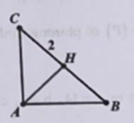 Tam giác ABC vuông cân đỉnh A có cạnh huyền là 2. Quay tam giác ABC quanh trục BC thì được khối tròn xoay có thế tích là (ảnh 1)