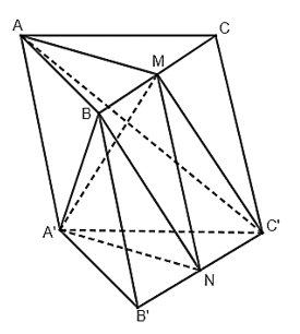 Cho hình lăng trụ tam giác ABC.A'B'C'. Gọi M, N lần lượt là trung điểm của BC, B'C'. Khẳng định nào sau đây là đúng?  A. (A'MN) // (ACC').  B. (A'BN) // (AC'M).  C. C'M // (A'B'B).  D. BN // (ACC'A').  (ảnh 1)