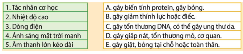 Ghép đúng tác nhân vật lí (1, 2, 3, 4 hoặc 5) với cách thức gây bệnh (A, B, C, D hoặc E).   (ảnh 1)