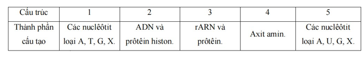 Cho các thành phần cấu tạo nên các cấu trúc hoặc phân tử theo bảng sau:Các phân tử và chất sau:   (a) Prôtêin.(b) Nhiễm sắc thể.(c) ADN.(d) ribôxôm. (e) ARN. Thành phần cấu tạo tương ứng của các phân tử hoặc cấu trúc trên là gì? A.1 – e; 2 – d; 3 – b; 4 – a; 5 –c	B.1 – c; 2 – b; 3 – d; 4 – a; 5 – e C.1 – c; 2 – b; 3 – a; 4 – e; 5 – d	D.1 – b; 2 – e; 3 – c; 4 – d; 5 – a (ảnh 1)