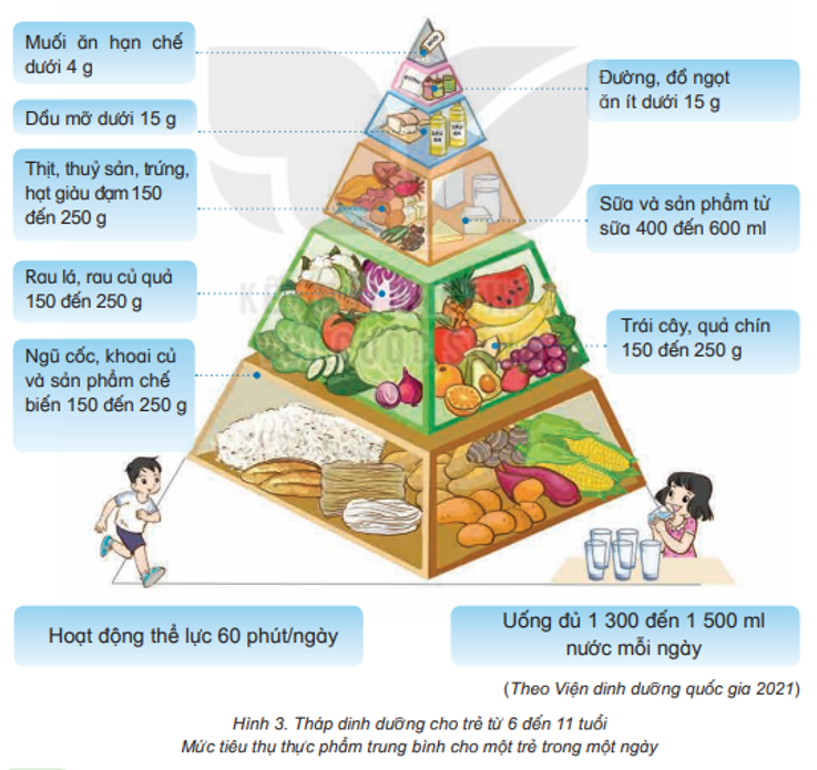 Quan sát các tầng của sơ đồ “Tháp dinh dưỡng” (Hình 3) và nhận xét: - Mỗi tầng tháp dinh dưỡng chứa thực phẩm nào? - Những thực phẩm đó thuộc nhóm chất dinh dưỡng nào? - Mức độ cần sử dụng của các loại thực phẩm trong mỗi tầng như thế nào? (ảnh 1)