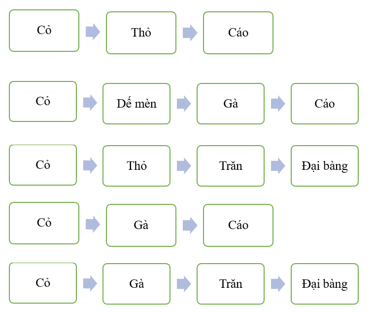 Hãy viết chuỗi thức ăn có từ ba mắt xích trở lên dựa trên các thực vật, động vật trong hình dưới đây. (ảnh 2)