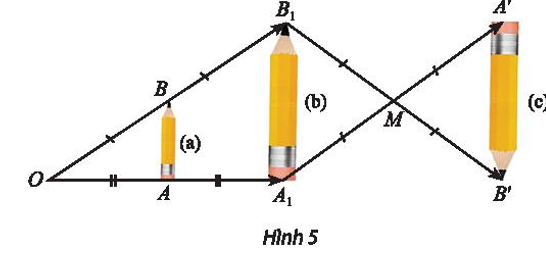 Tìm các cặp hình đồng dạng với nhau có trong Hình 5.   (ảnh 1)