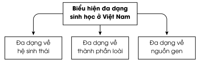 Hoàn thành sơ đồ khái quát về biểu hiện đa dạng sinh vật ở Việt Nam theo mẫu sau đây vào vở. (ảnh 2)