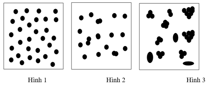 Cho ba hình 1, 2, 3 diễn tả kiểu phân bố của cá thể trong quần thể                                   Hình 1                                  Hình 2                                   Hình 3 Có bao nhiêu nhận xét sau đây là sai ? I. Hình 1 là kiểu phân bố đồng đều, hình 2 là kiểu phân bố theo nhóm và hình 3 là kiểu phân bố ngẫu nhiên. II. Hình 3 là kiểu phân bố phổ biến nhất, thường gặp khi điều kiện sống phân bố không đồng đều trong môi trường. III. Hình 2 là kiểu phân bố thường gặp khi điều kiện sống được phân bố một cách đồng đều trong môi trường và khi có sự cạnh tranh gay gắt giữa các cá thể trong quần thể. IV. Hình 2 là kiểu phân bố giúp sinh vật tận dụng được nguồn sống tiềm tàng trong môi trường. A. 1.	B. 2.	C. 3.	D. 4. (ảnh 1)