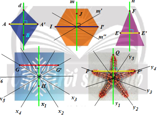 Tìm trục đối xứng trong các hình ở Hình 10.   (ảnh 2)