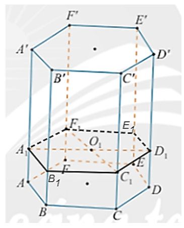 Để làm một khung lồng đèn kéo quân hình lăng trụ lục giác ABCDEF.A’B’C’D’E’F’, Bình gắn hai thanh tre A1D1, F1C1 song song với mặt phẳng đáy và cắt nhau tại O1 (Hình 19).  a) Xác định giao tuyến của mp(A1D1, F1C1) với các mặt bên của lăng trụ.  (ảnh 2)