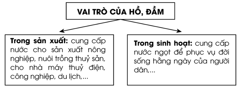 Vẽ sơ đồ thể hiện vai trò của hồ, đầm ở nước ta. (ảnh 1)