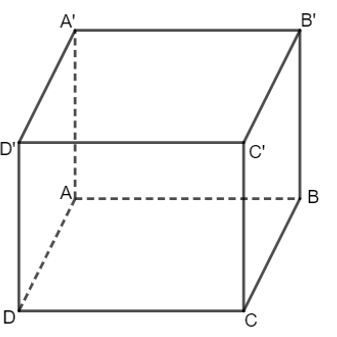 a) Vẽ hình biểu diễn của một hình hộp chữ nhật. (ảnh 1)