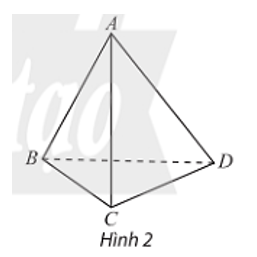 b) Cho tứ diện ABCD. Hai đường thẳng AB và CD có cùng nằm trong bất kì mặt phẳng nào không?  (ảnh 1)