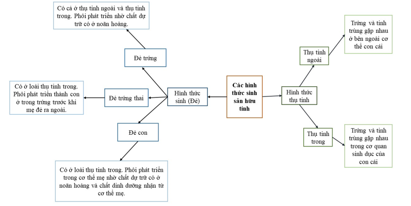 Vẽ sơ đồ tư duy phân biệt các hình thức sinh sản hữu tính.  (ảnh 1)