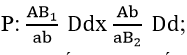 Ở một loài thực vật, alen A quy định thân cao trội hoàn toàn so với alen a thân thấp, alen B1 quy định hoa đỏ trội hoàn toàn so với alen B; alen B2 quy định hoa vàng trội hoàn toàn so với alen b quy định hoa trắng. Alen D quy định quả tròn trội hoàn toàn so với alen d quy định quả dài. Thực hiện phép lai P: (AB_1)/ab  Ddx Ab/(aB_2 )  Dd; thu được F1 có 12 loại kiểu hình, trong đó thân cao, hoa vàng, quả dài chiếm 4%. Biết rằng quá trình giảm phân bình thường và giống nhau ở 2 giới. Theo lý thuyết, trong những cây thân cao, hoa đỏ, quả tròn, tỉ lệ những cây dị hợp 3 cặp gen chiếm tỉ lệ ?  A. 1/4.	B. 1/10.	C. 5/12	D. 1/2. (ảnh 1)