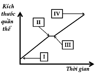 Ở vi khuẩn E. coli, chức năng chính của operon lac giúp vi khuẩn phân giải và sử dụng được đường lactose trong tình huống môi trường chỉ có lactose là nguồn carbon duy nhất. Nếu môi trường có cả lactose và đường glucose thì operon sẽ bị tắt. Một chủng E. coli ban đầu được nuôi cấy từ môi trường chỉ có glucose được chuyển sang môi trường có cả lactose và glucose. Sự tăng trưởng của quần thể này được mô tả trên hình. Theo lý thuyết, operon lac của vi khuẩn sẽ bắt đầu được phiên mã nhiều từ thời điểm nào trên đồ thị? (ảnh 1)