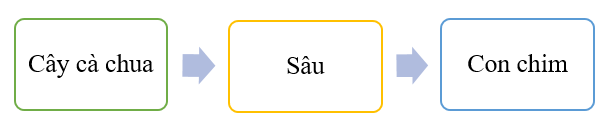 Nêu tên sinh vật có ở hình 1 phù hợp với mỗi ô trong sơ đồ chuỗi thức ăn dưới đây. (ảnh 2)