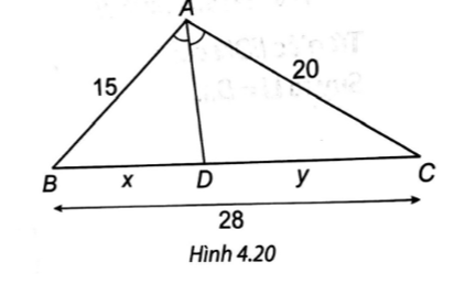 Quan sát Hình 4.20. Độ dài x, y lần lượt là:   A. x = 16 cm; y = 12 cm. B. x = 14 cm; y = 14 cm. C. x = 14,3 cm; y = 10,7 cm. D. x = 12 cm; y = 16 cm. (ảnh 1)