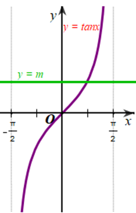 Với mỗi số thực m, tìm số giao điểm của đường thẳng y = m và đồ thị hàm số y = tanx  (ảnh 1)