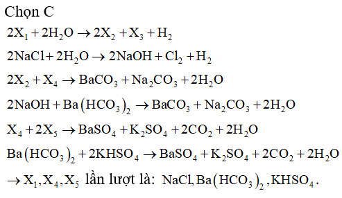 Cho sơ đồ phản ứng sau: 2X1 + 2H2O → 2X2 + X3 + H2 2X2 + X4 → BaCO3 + Na2CO3 + 2H2O X4 + 2X5 → BaSO4 + K2SO4 + 2CO2 + 2H2O Các chất X1, X4, X5 lần lượt là: A. NaOH, Ba(HCO3)2, KHSO4. 	B. BaCl2, Ba(HCO3)2, H2SO4. C. NaCl, Ba(HCO3)2, KHSO4. 	D. NaCl, NaHCO3, H2SO4. (ảnh 1)