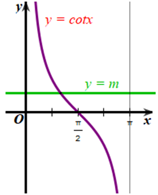 Với mỗi số thực m, tìm số giao điểm của đường thẳng y = m và đồ thị hàm số y = cotx  (ảnh 1)