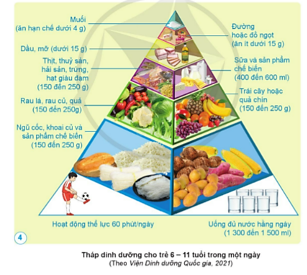 Dựa vào hình 4, nêu tên các nhóm thực phẩm cần thiết cho trẻ từ 6-11 tuổi trong mỗ ngày. Trong đó, thực phẩm nào nên ăn hạn chế, thực phẩm nào nên ăn ít? (ảnh 1)