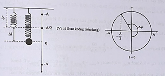 Một con lắc lò xo treo thẳng đứng. Kích thích cho con lắc dao động điều hòa theo phương thẳng đứng. Chu kì và biên độ dao động của con lắc lần lượt là 0,5 s và 12,5 cm . (ảnh 1)