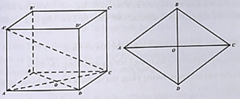 Cho hình hộp đứng ABCD.A'B'C'D' có đáy ABCD là một hình thoi cạnh a, , AA' = 4a. Biết a = 4, tính khoảng cách giữa hai đường thẳng A'C và BB'. (ảnh 1)