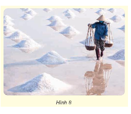 Giải thích được vì sao trong quá trình sản xuất muối ăn, người dân phơi nước biển dưới ánh mặt trời lại thu được các hạt muối (Hình 8). (ảnh 1)