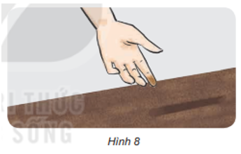 Quan sát hình 8 và nêu hiện tượng xảy ra khi miết ngón tay trên một bàn để lâu ngày không lau chùi. (ảnh 1)