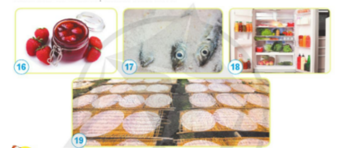 Hãy cho biết các thực phẩm trong những hình dưới đây đươc bảo quản bằng cách nào để tránh bị nhiễm nấm mốc. (ảnh 1)