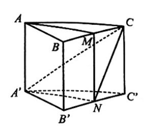 Cho hình lăng trụ tam giác ABC.A'B'C'. Gọi M, N lần lượt là trung điểm của BC, B'C'. Chứng minh rằng AM // (A'NC).   (ảnh 1)