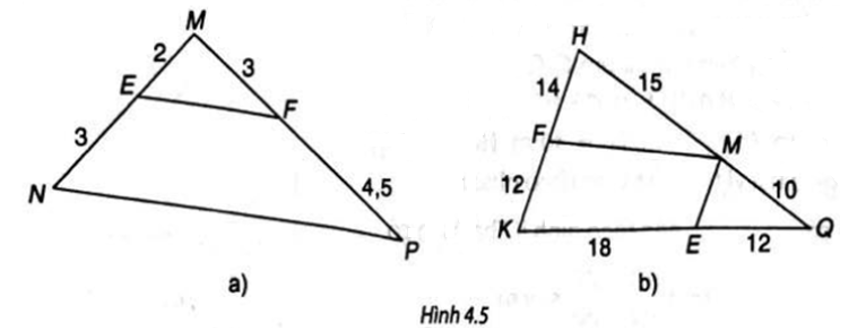 Tìm các cặp đường thẳng song song trong Hình 4.5 và giải thích vì sao chúng song song với nhau. (ảnh 1)
