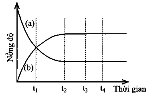 Quan sát Hình 1.1 và ghép mỗi đối tượng ở cột A với một mô tả thích hợp ở cột B.   Hình 1.1. Biến thiên nồng độ chất phản ứng và chất sản phẩm theo thời gian (ảnh 1)
