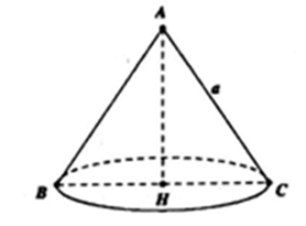 Cho tam giác đều ABC cạnh a quay xung quanh đường cao AH tạo nên một hình nón. Tính diện tích xung quanh Sxq của hình nón đó. (ảnh 1)