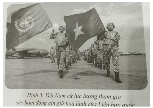 Quan sát hình sau:   Tìm hiểu và giới thiệu về một hoạt động của Việt Nam trong Liên hợp quốc (ảnh 1)