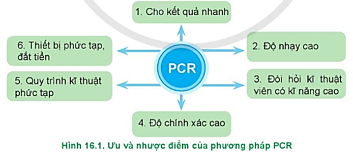 Hãy quan sát Hình 16.1, nêu ưu và nhược điểm của phương pháp PCR trong chẩn đoán bệnh vật nuôi. (ảnh 1)